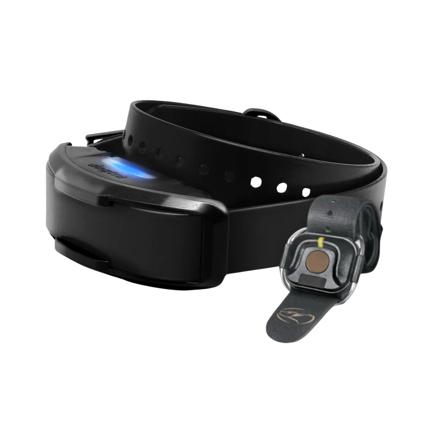 Dogtra 1900X BLACK EDITION