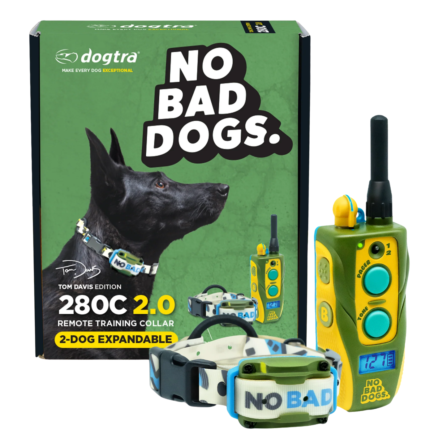 Tom Davis No Bad Dogs E-Collar with bold green and yellow design on dog