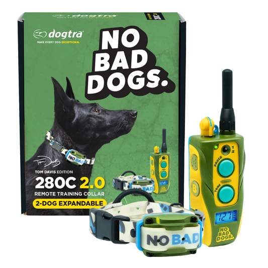 Tom Davis No Bad Dogs E-Collar with bold green and yellow design on dog