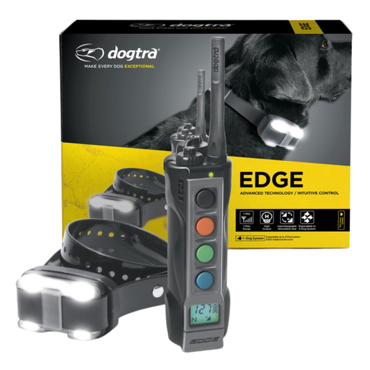 Dogtra EDGE E-Collar with ergonomic handheld transmitter on dog