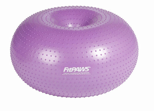 FitPAWS canine fitness and rehabilitation equipment for balance and core training