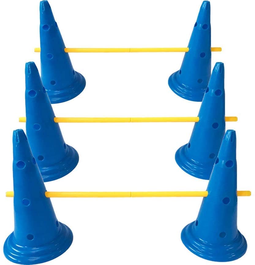 Backyard dog agility starter set with cones, adjustable hurdle poles, and carry case for small to large dogs.