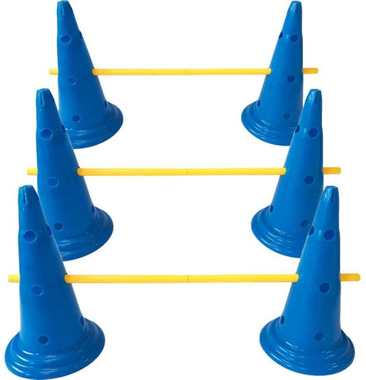 Backyard dog agility starter set with cones, adjustable hurdle poles, and carry case for small to large dogs.