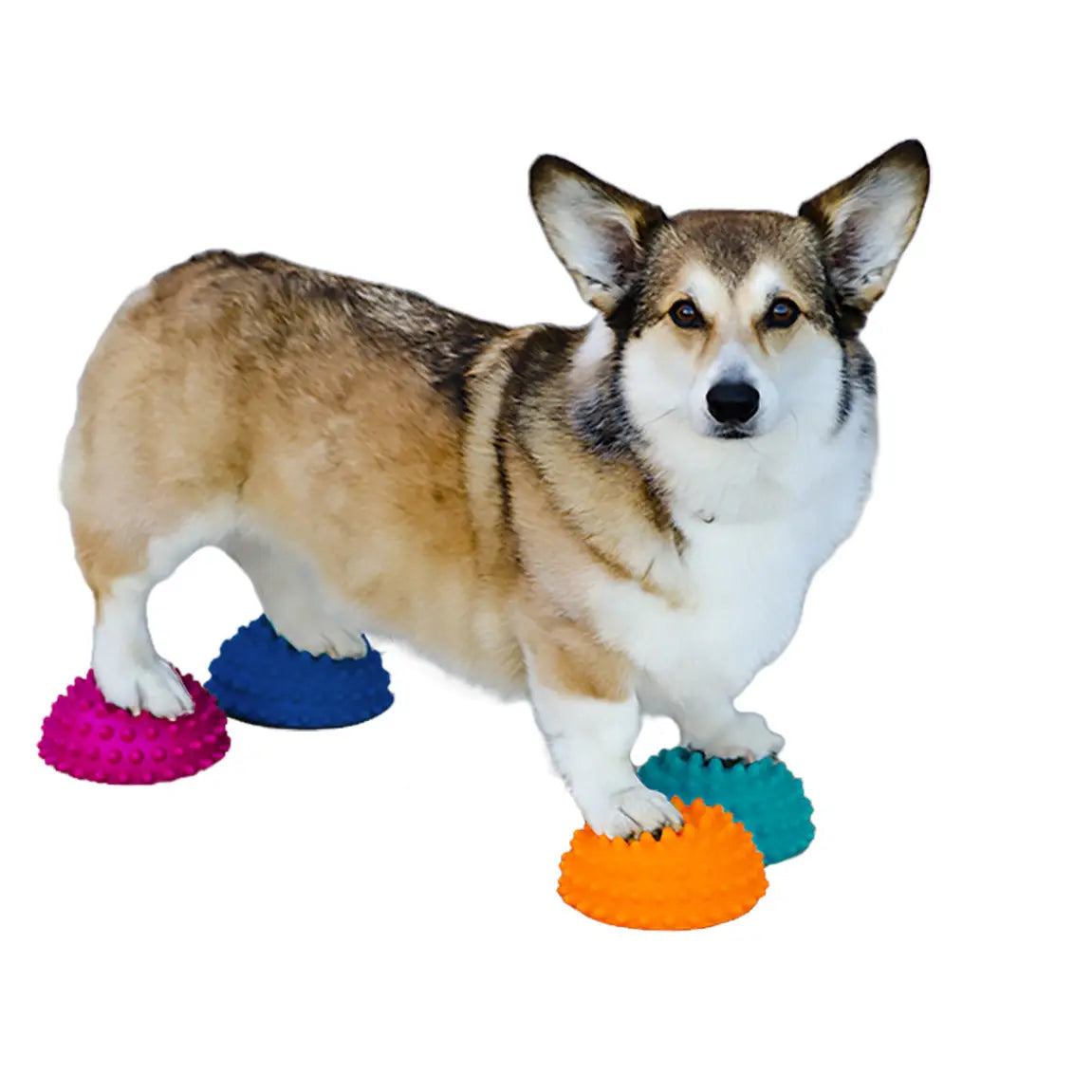 FitPAWS® Paw Pods, Anti-Skid Bottom (Set of 4)