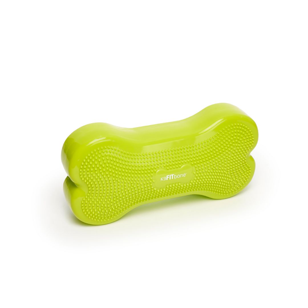 K9FITbone Balance Training Platform