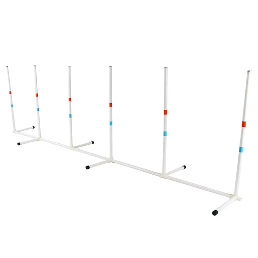 Framed dog weave pole set for outdoor training, made of durable plastic, portable with carry bag, suitable for all breeds and surfaces.