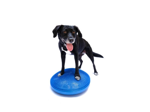 FitPAWS® Balance Disc