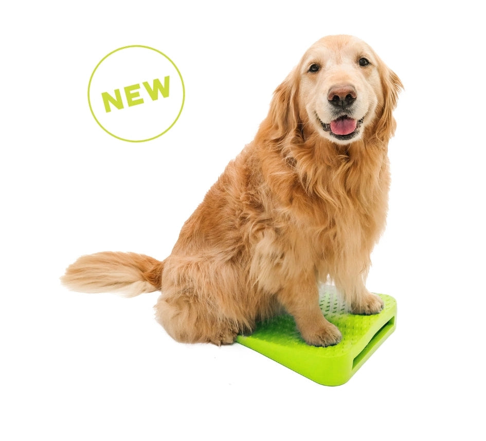 FitPAWS® Balance Ramp