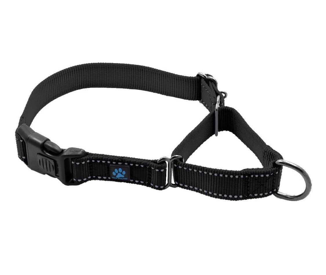 Martingale Nylon Dog Collar