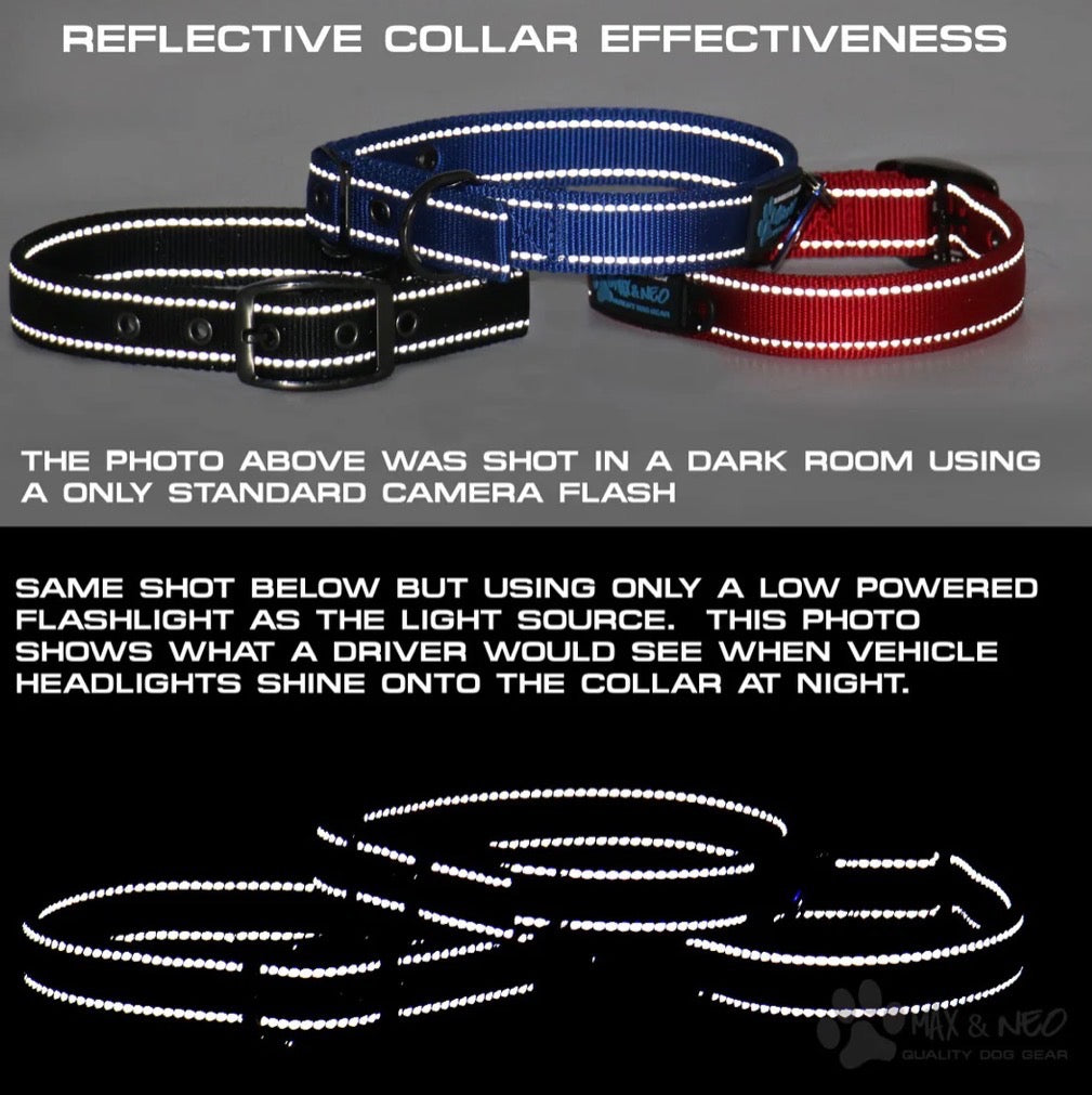 Martingale Nylon Dog Collar