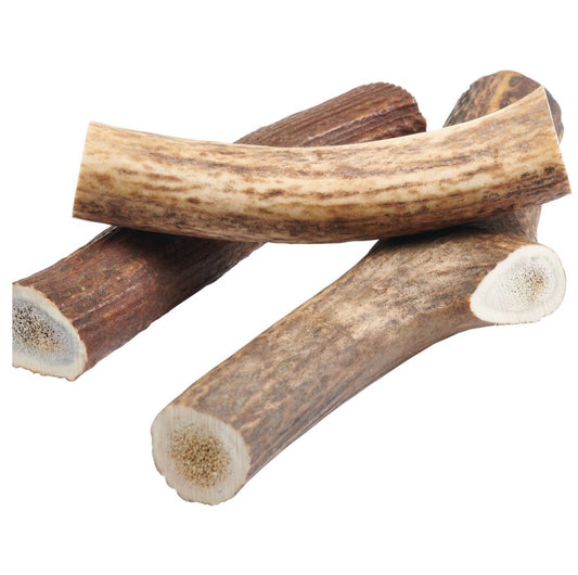 Grade A Elk Antler Dog Chew