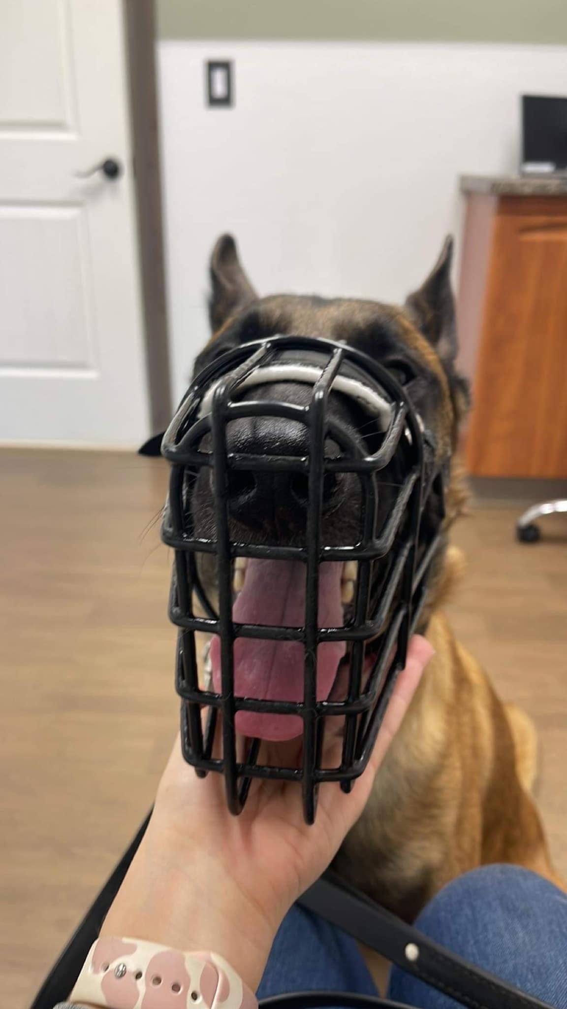 Leerburg Polymer Coated Wire Basket Muzzle